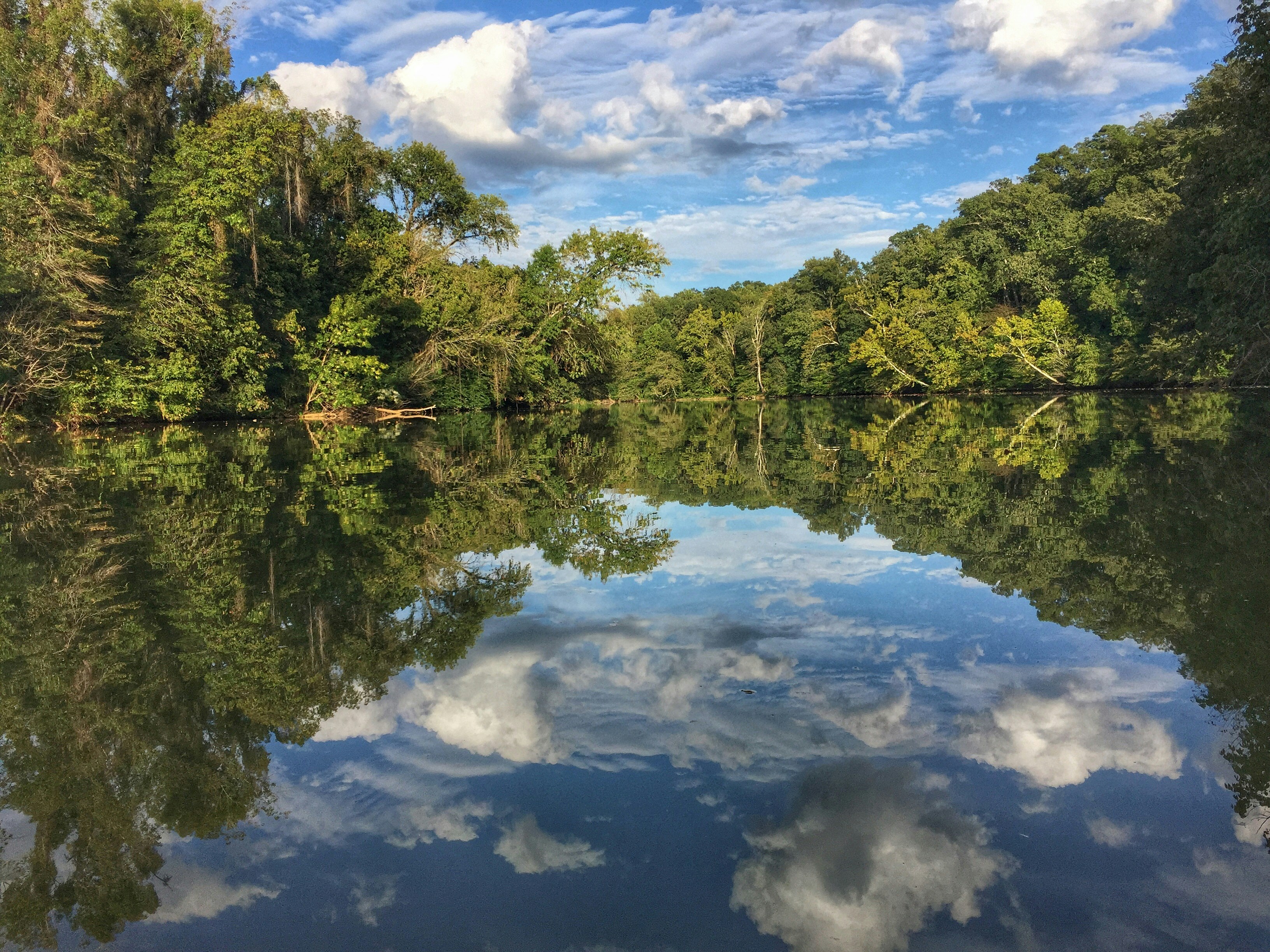 Virginia Scenic Landscape
